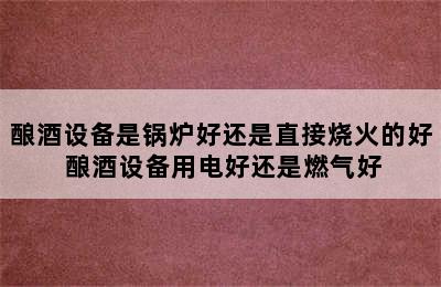 酿酒设备是锅炉好还是直接烧火的好 酿酒设备用电好还是燃气好